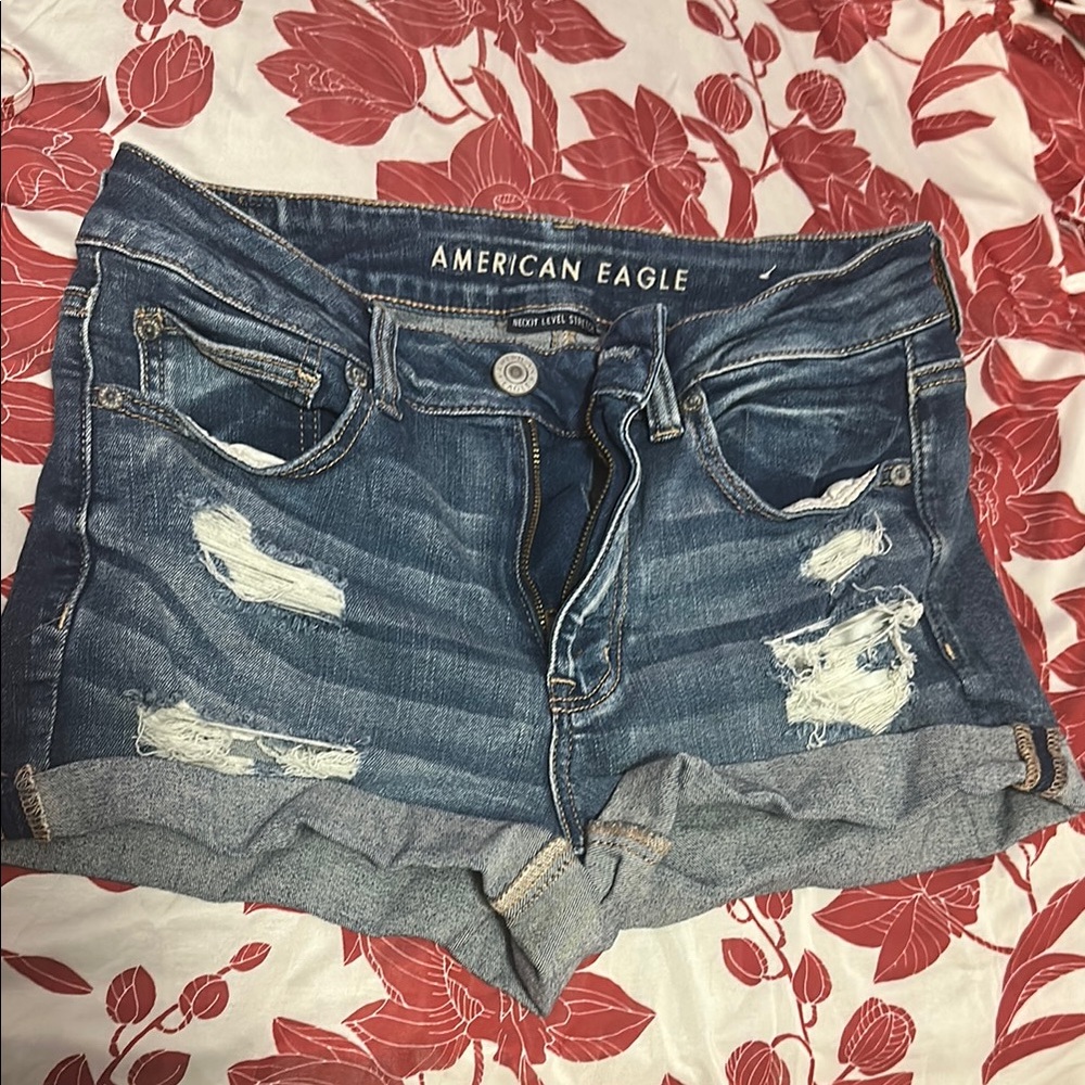 American Eagle Outfitters Blue Distressed Jean Shorts